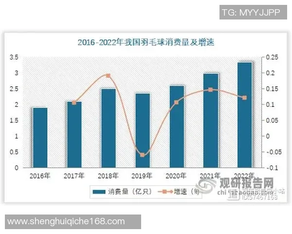 成都羽毛球队个人能力深度对比与分析揭示选手潜力与发展方向